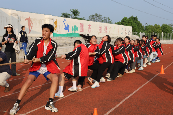 常德德才科技職業(yè)學(xué)校,常德招生就業(yè),電子商務(wù)專業(yè)學(xué)校,專業(yè)學(xué)校報(bào)考哪里好